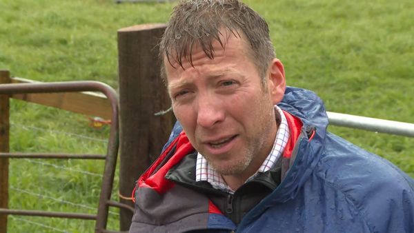 The Yorkshire Vet - Episode 12