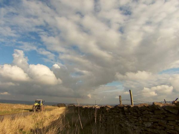 The Yorkshire Vet - Episode 13