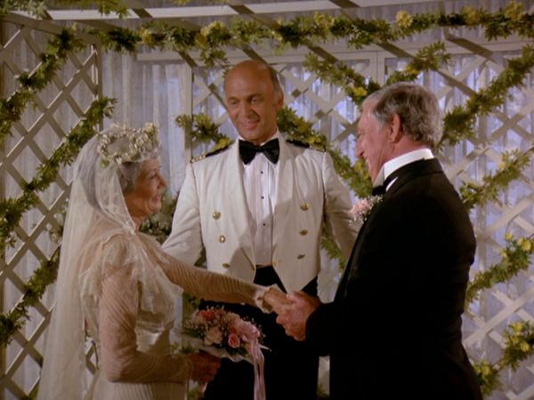 The Love Boat - Problemi gemelli