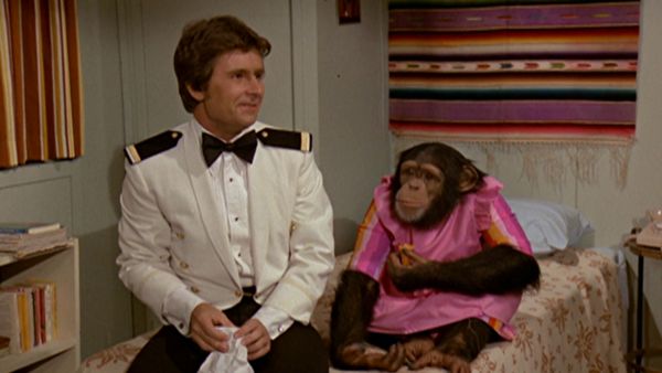 The Love Boat - E' tutta colpa della scimmia
