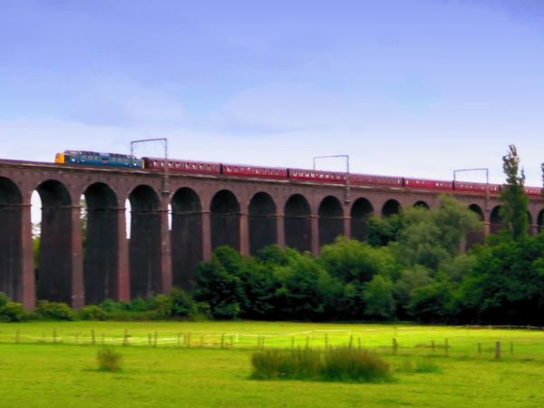 Train Truckers - Giant Royal Locomotive