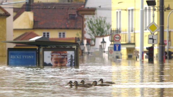 Pronóstico Fatal - Inundaciones