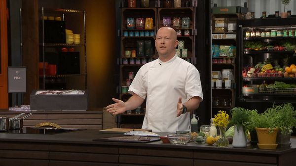 Masterchef - Danmarks største madtalenter - Episode 1008