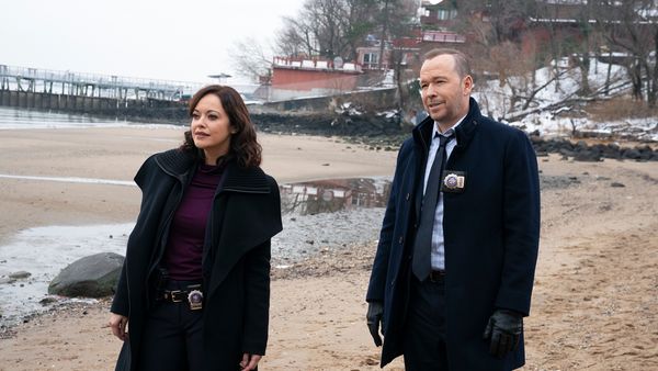 Blue Bloods - More Than Meets the Eye