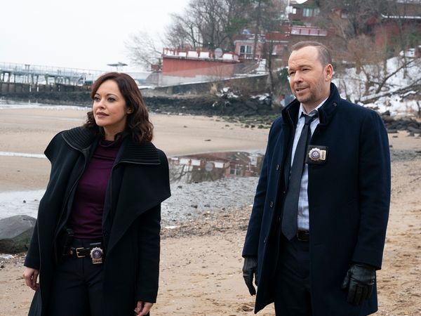 Blue Bloods - More Than Meets the Eye
