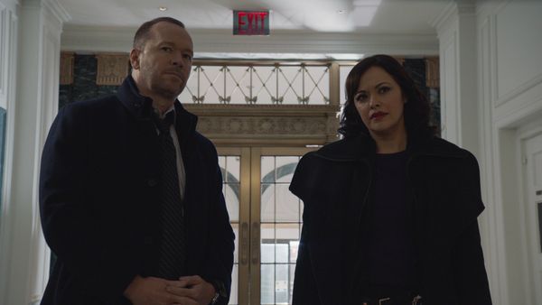 Blue Bloods - The Common Good