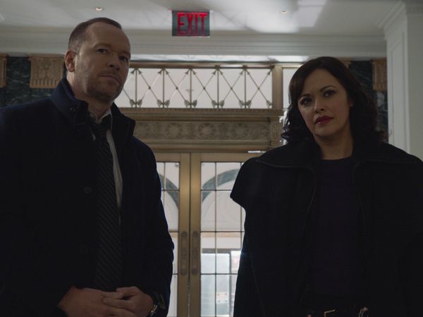 Blue Bloods - The Common Good