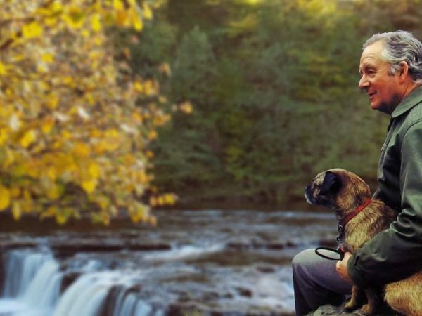 The Yorkshire Vet - Episode 7