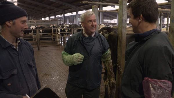 The Yorkshire Vet - Episode 9