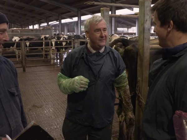 The Yorkshire Vet - Episode 9