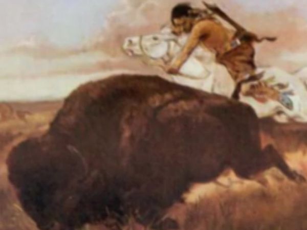 Great Indian Wars - The Cavalry