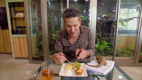 World's Weirdest Restaurants - Episode 2
