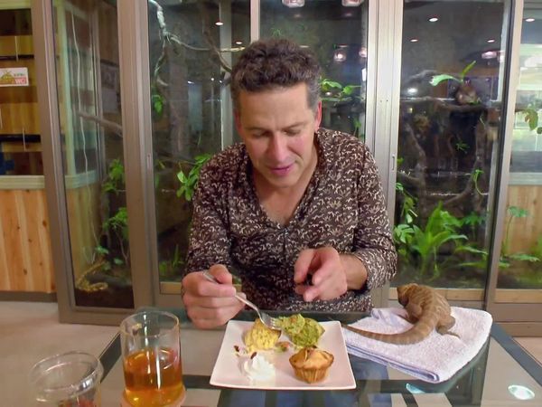 World's Weirdest Restaurants - Episode 2