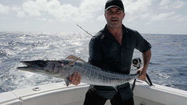 Chasing Monsters - Deadly Jaws