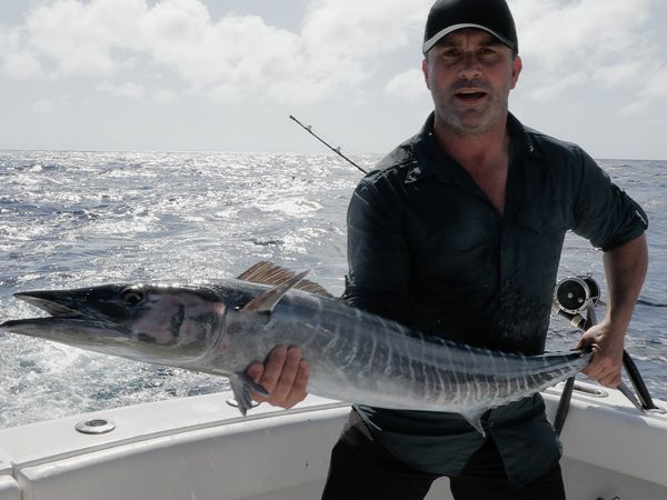 Chasing Monsters - Deadly Jaws