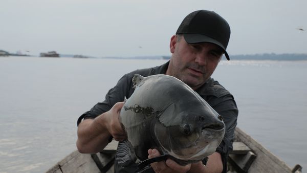 Chasing Monsters - Piranha Attack