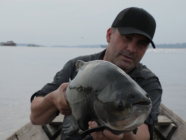 Chasing Monsters - Piranha Attack