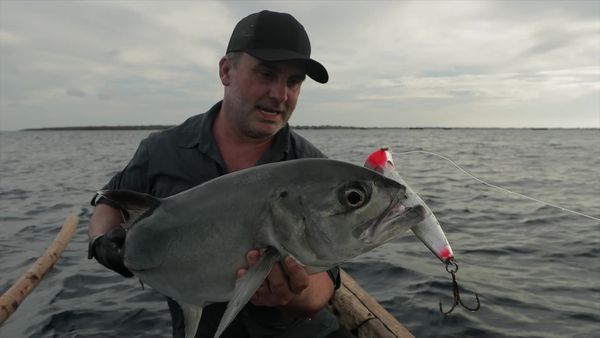 Chasing Monsters - Ghost of The Reef