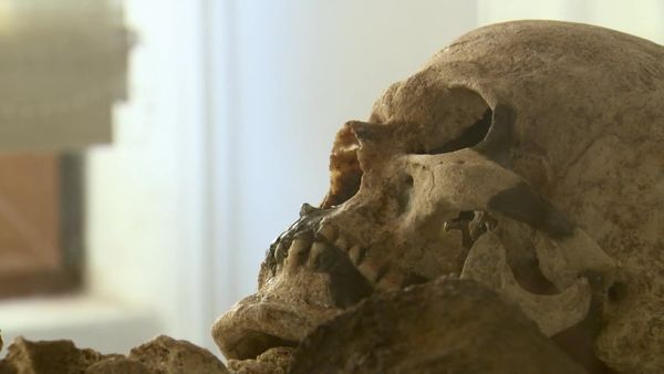 Forbidden History - Bloodlust Real Vampires