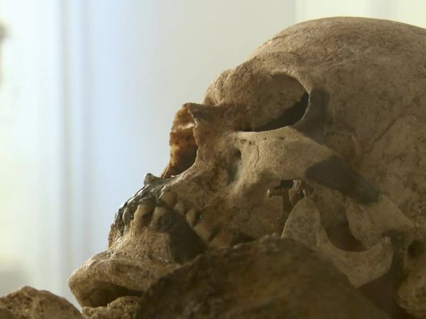 Forbidden History - Bloodlust Real Vampires