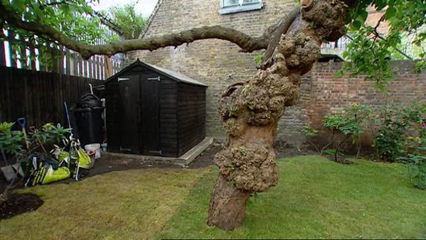 Homes Under The Hammer - Episode 7
