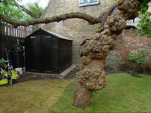Homes Under The Hammer - Episode 7