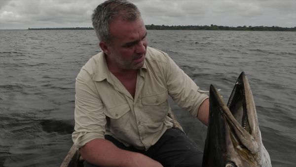 Chasing Monsters - Shark vs Barracuda