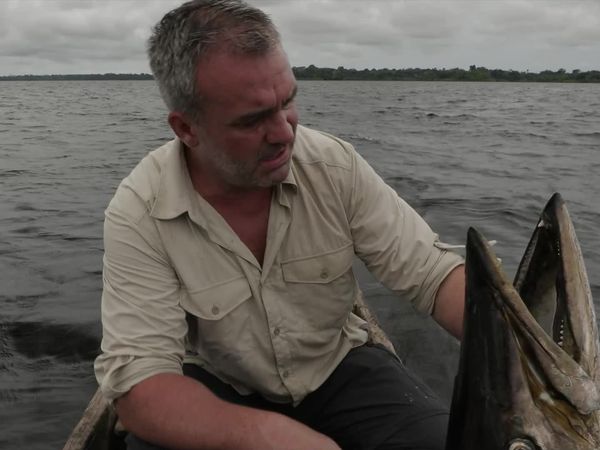 Chasing Monsters - Shark vs Barracuda