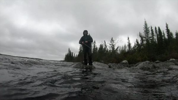 Chasing Monsters - Cold-Water Cannibal
