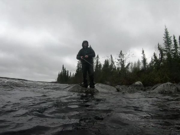 Chasing Monsters - Cold-Water Cannibal
