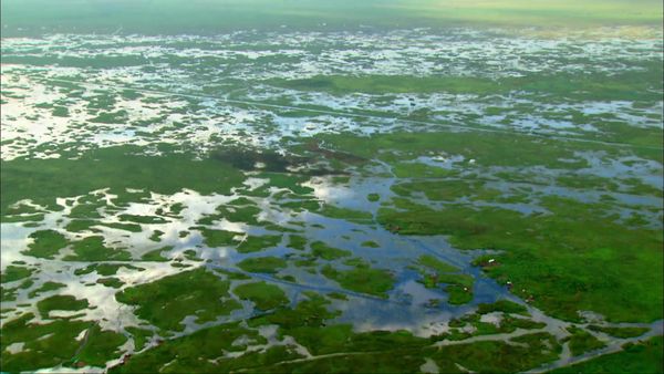 Congo - River of No Return - River of Extremes