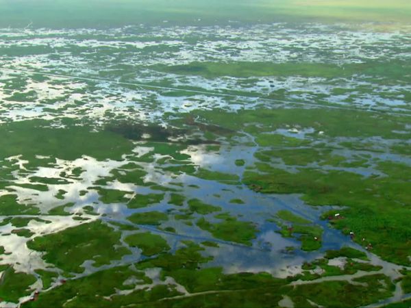 Congo - River of No Return - River of Extremes