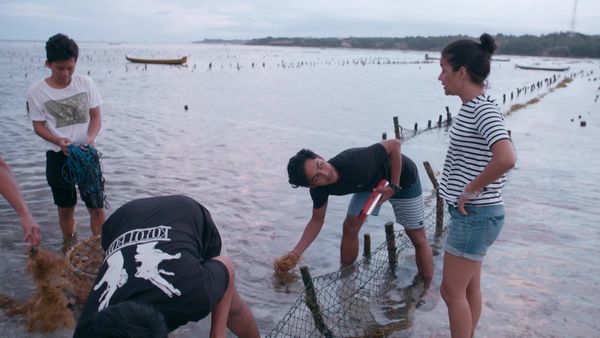 The Island Diaries - Bali