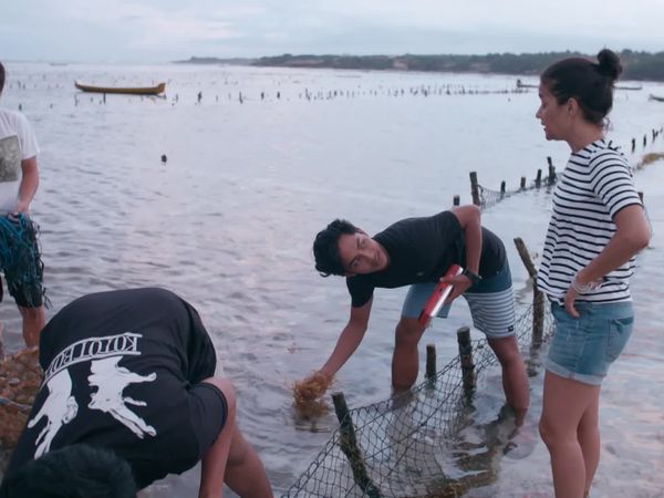 The Island Diaries - Bali