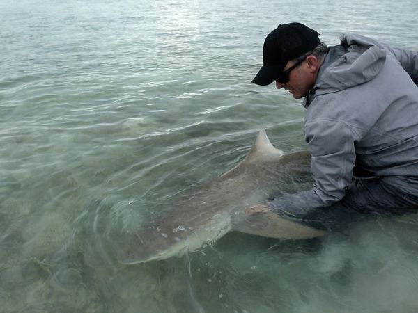 Chasing Monsters - Cannibal Jaws