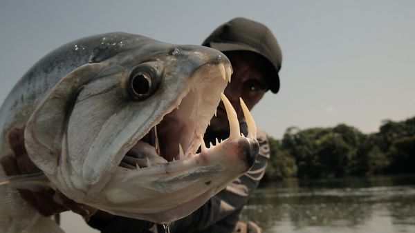Chasing Monsters - Jungle Vampire