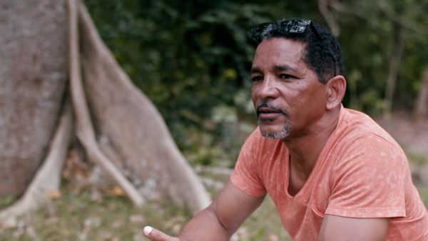 The Island Diaries - Guadeloupe