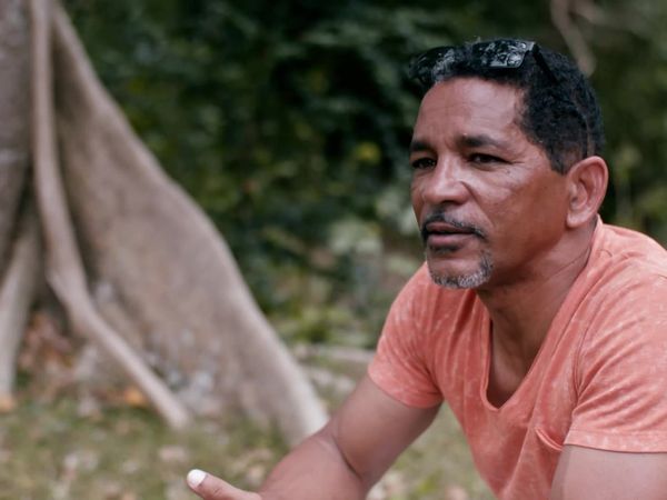 The Island Diaries - Guadeloupe