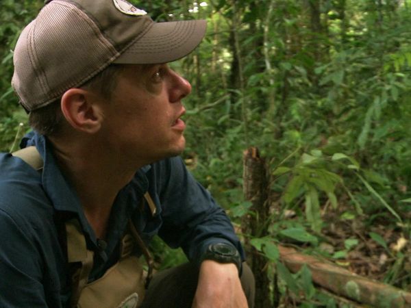 MeatEater - Welcome to the Jungle: Adventures in Bolivia Part 2
