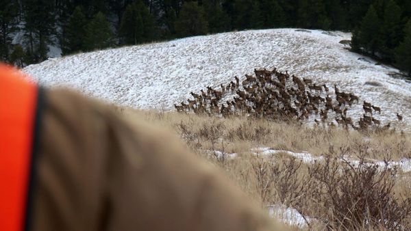 MeatEater - About Time: Helen and Brittany Hunt Elk in Montana