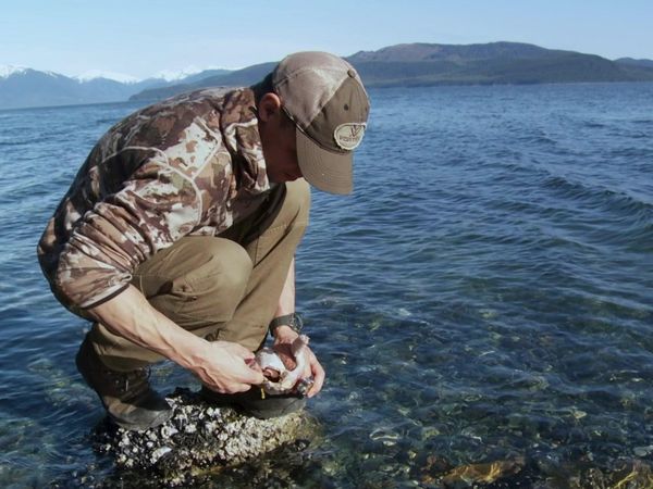 MeatEater - Unconventional: Alaska Sooty Grouse Part 2
