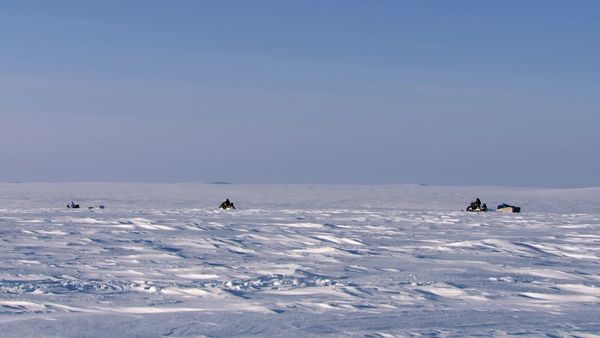 MeatEater - The Coldest Hunt: Nunivak Island Muskox