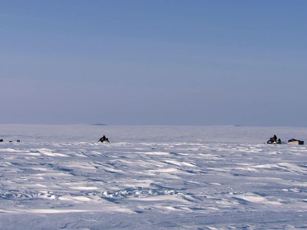 MeatEater - The Coldest Hunt: Nunivak Island Muskox