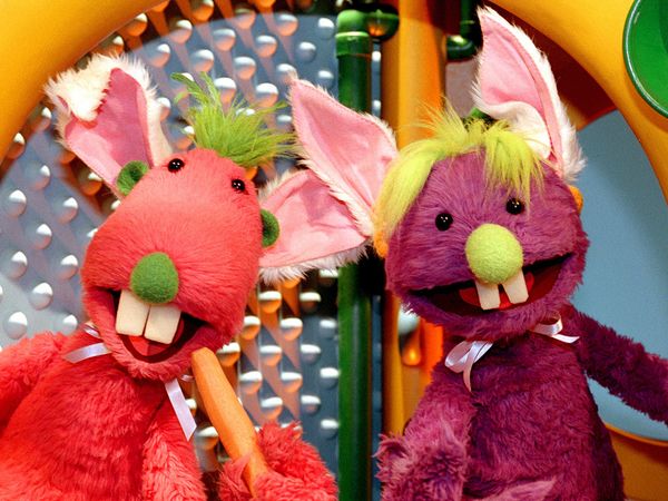 The Hoobs - Pets