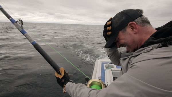 Chasing Monsters - Giant Tuna Battle
