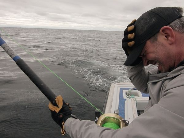 Chasing Monsters - Giant Tuna Battle