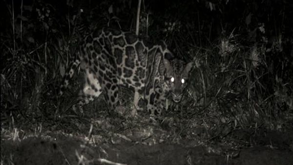 Expedition Borneo - Episode 1