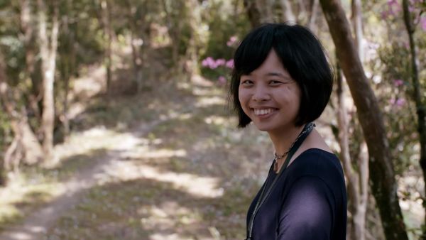 The Island Diaries - Taiwan