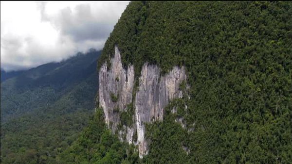 Expedition Borneo - Episode 2