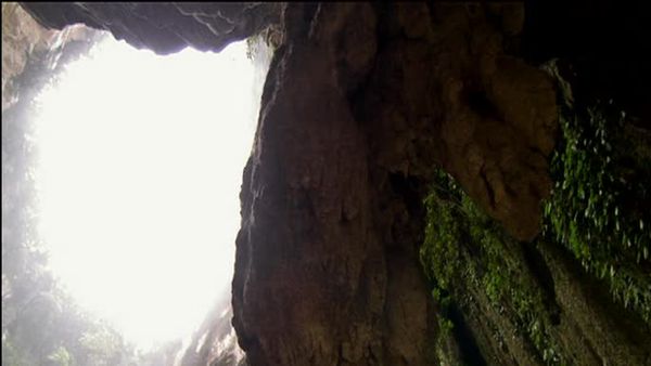 Expedition Borneo - Episode 5